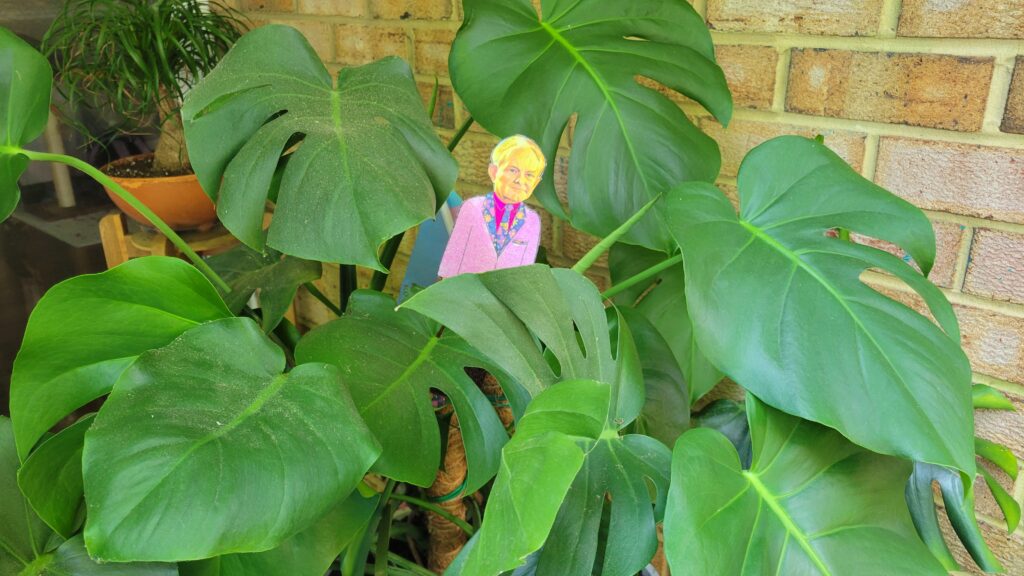 paper doll in between large potted plant leaves