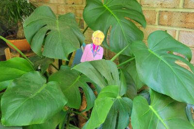 paper doll in between large potted plant leaves