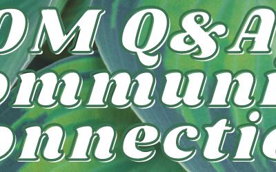Green-themed graphic with white text about community connection.