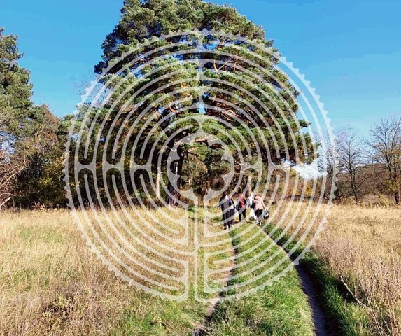 A circular maze pattern is superimposed over a natural outdoor path.