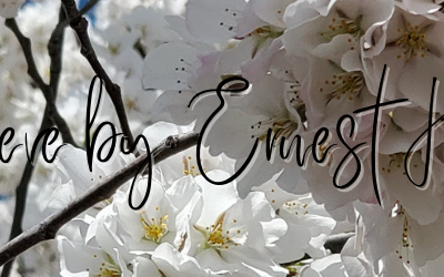 White blossoms and text on a blue sky.