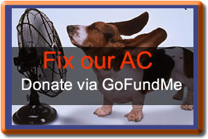 A dog cools off by a fan with a message to fix the AC via donations.